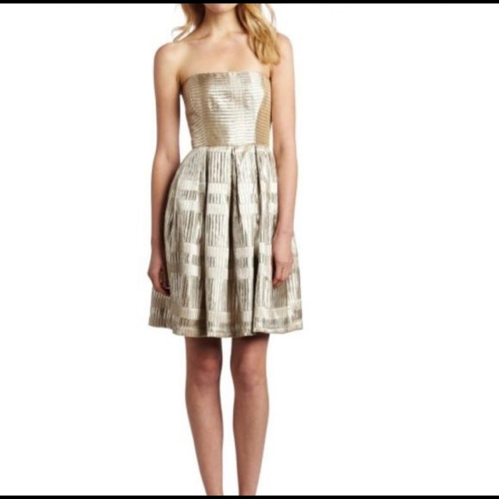 Silver Strapless Corey Lynn Calter Dress